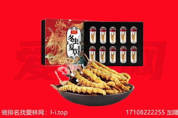 临沭县回收虫草.jpg